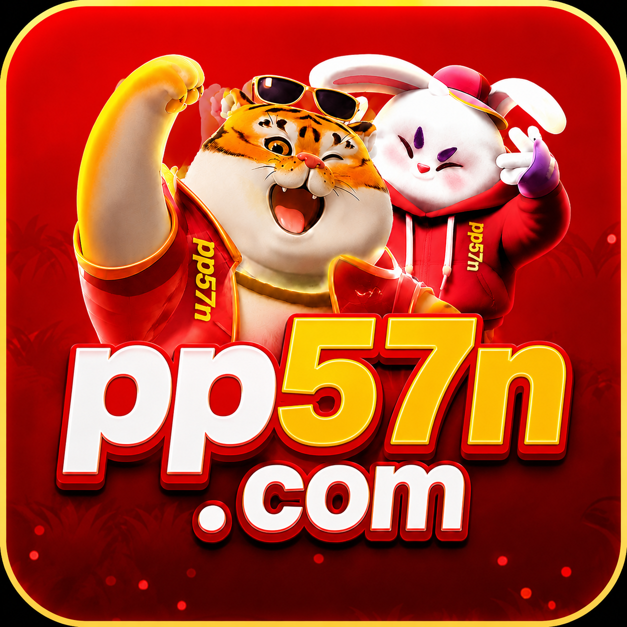 Ícone pp57n
